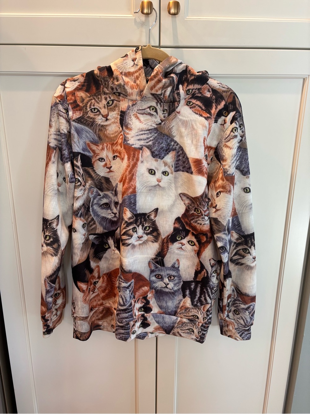 Colorful Graphic Cat Print Hooded Pullover Sweatshirt in Multi-color. Like new!